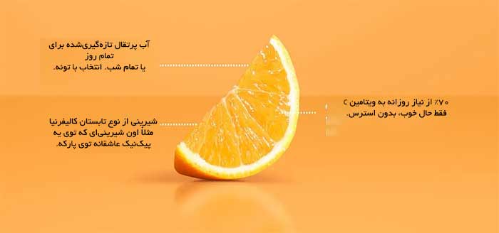 پادشاه ویتامین C