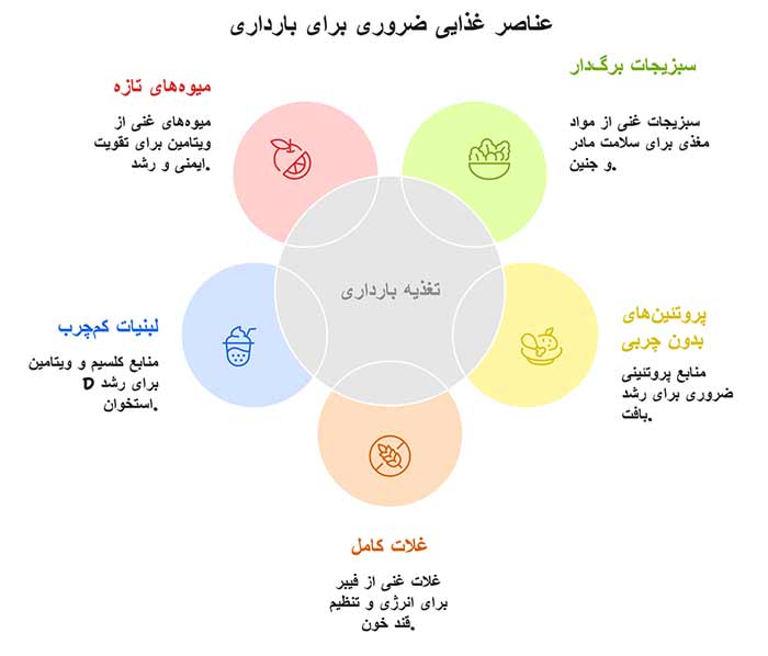 اینفوگرافیک عناصر غذایی ضروری برای بارداری 